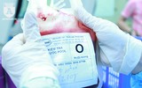 Cận cảnh nơi điều chế máu lớn nhất Việt Nam